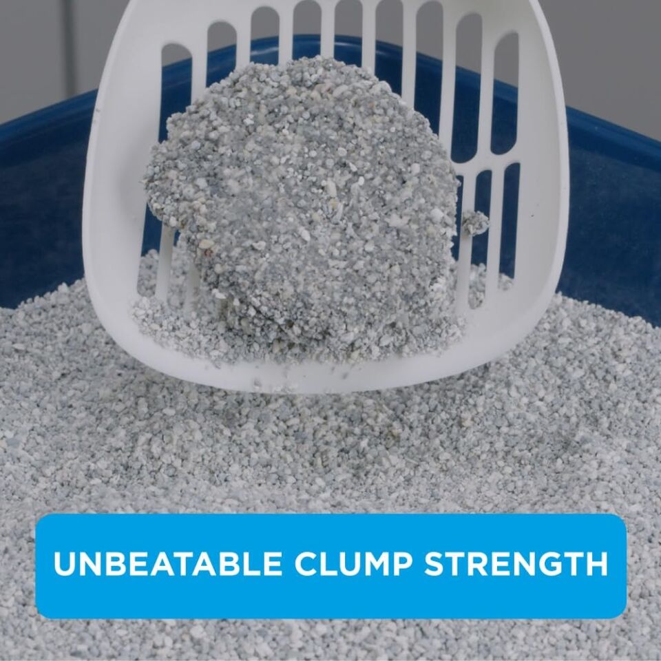 Ever Clean Multi Kristal Topaklanan Kedi Kumu 10lt