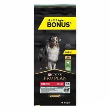 Pro Plan Medium Adult Kuzulu Yetişkin Köpek Maması 14+2.5 Kg