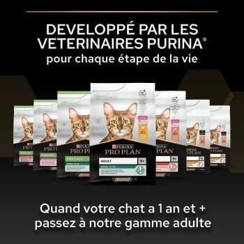 Pro Plan Original Kitten Tavuklu Yavru Kedi Maması 10 Kg