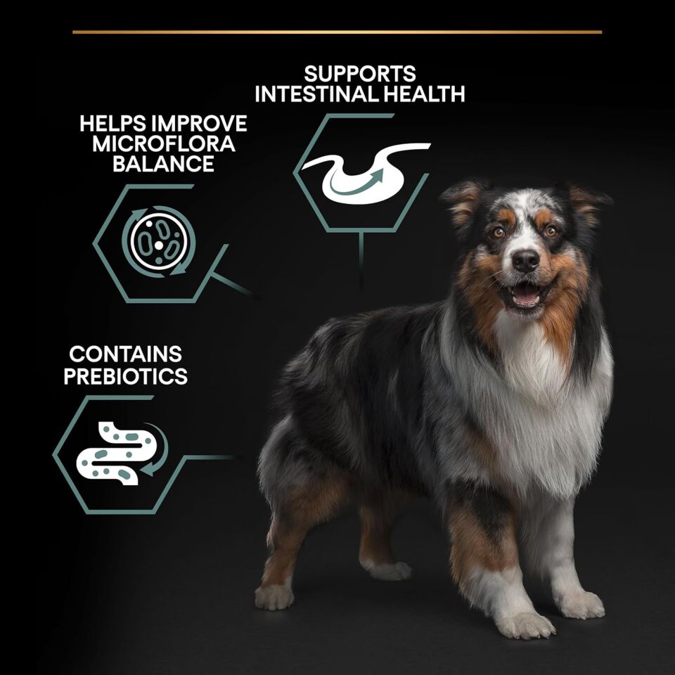 Pro Plan Medium Adult Kuzulu Yetişkin Köpek Maması 14 Kg