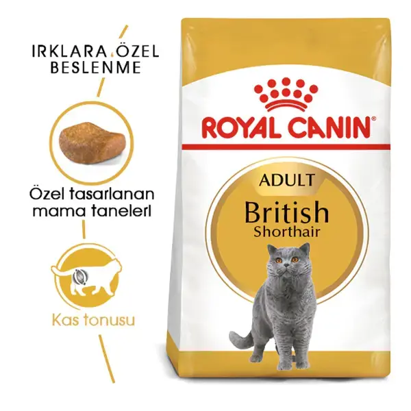 Royal Canin British Shorthair Için Kuru Kedi Maması 4kg