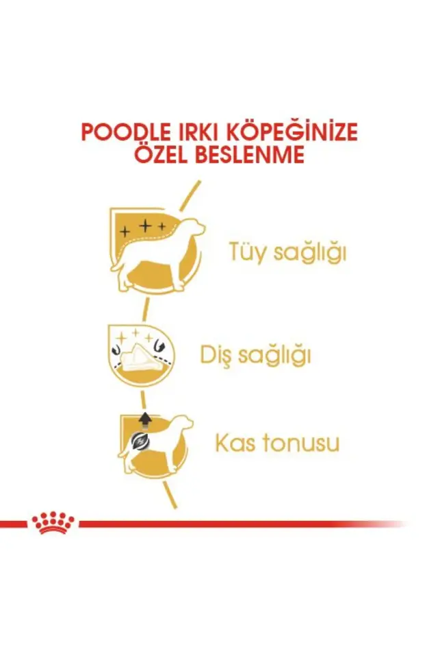 Royal Canin Poodle Yetişkin Köpek Maması 3kg