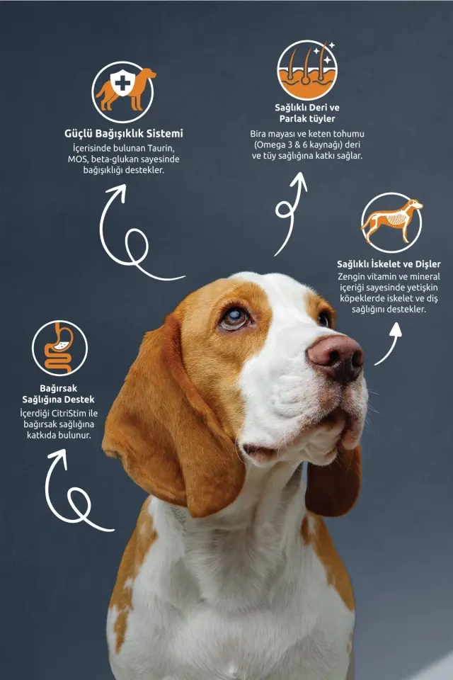Reflex Kuzu Etli ve Pirinçli Yetişkin Köpek Maması 15 kg