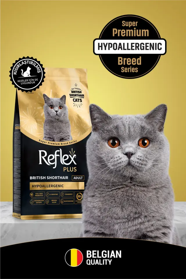 Reflex Plus British Shorthair Hipoalerjenik Yetişkin Kedi Maması 1,5 kg