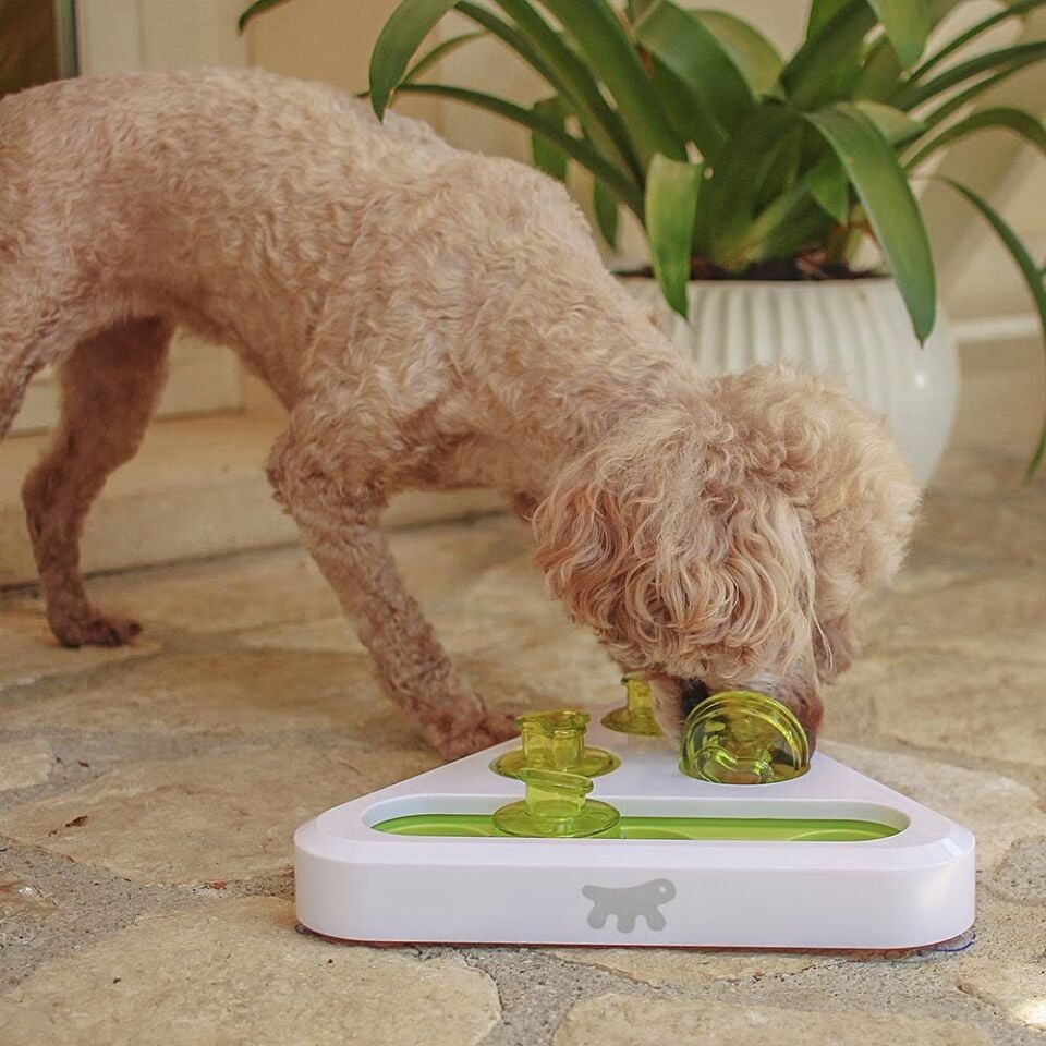 Ferplast Trea Kedi Köpek Hazneli Eğitim Oyuncağı