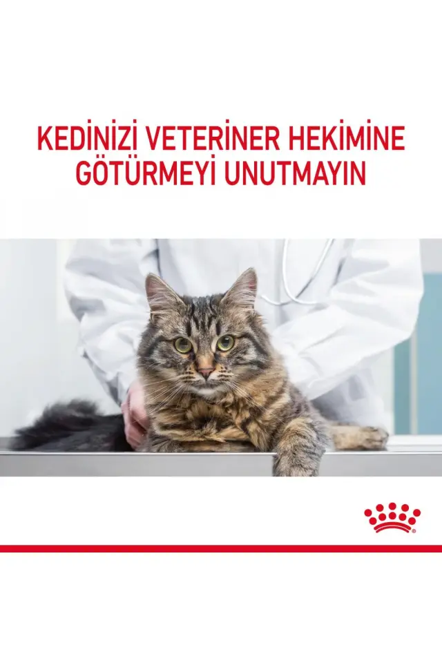 Royal Canin Hair&skin Tüy Ve Deri Sağlığı Için Kuru Kedi Maması 2kg