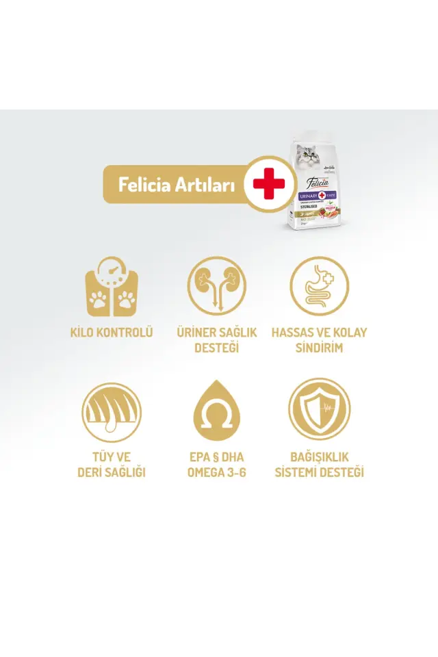 Felicia Kolajen Destekli Hipoalerjenik Somonlu Kısırlaştırılmış Yetişkin Kedi Maması 12KG