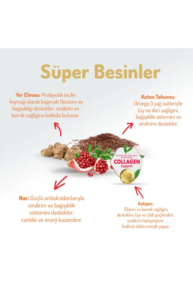 Felicia Kolajen Destekli Hipoalerjenik Somonlu Kısırlaştırılmış Yetişkin Kedi Maması 12KG