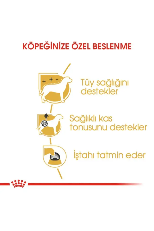 Royal Canin Poodle Yaş Köpek Maması 12 x 85g